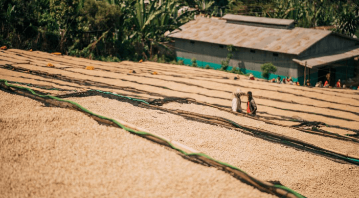 Dumerso coffee processing station